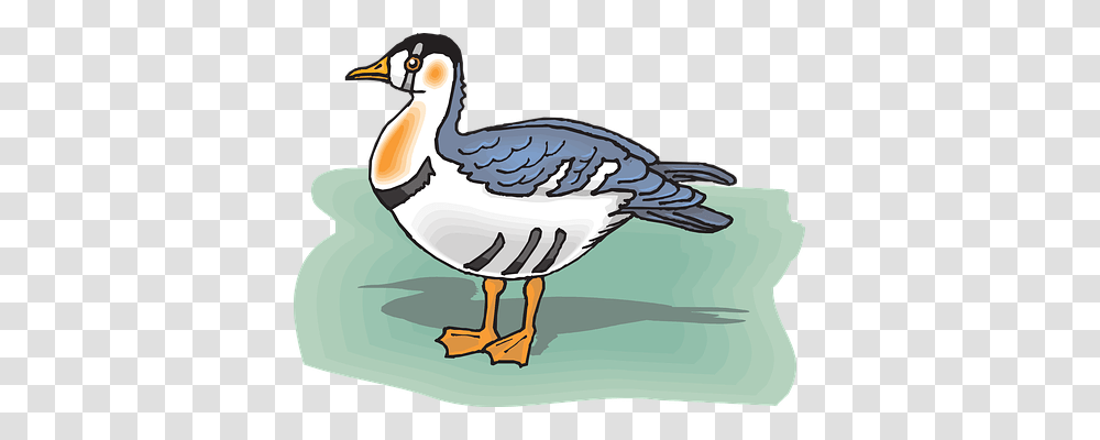 Shadow Animals, Goose, Bird, Duck Transparent Png