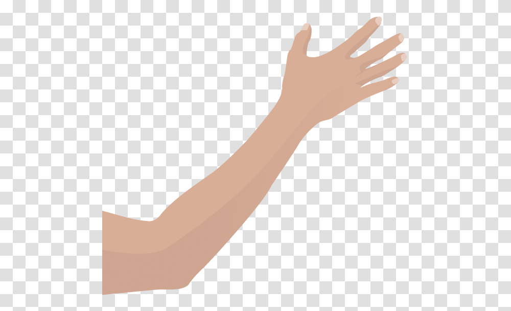 Shadow, Arm, Hand, Finger, Wrist Transparent Png