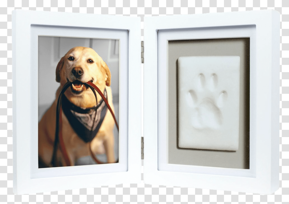 Shadow Box Pet Paw Print, Dog, Canine, Animal, Mammal Transparent Png