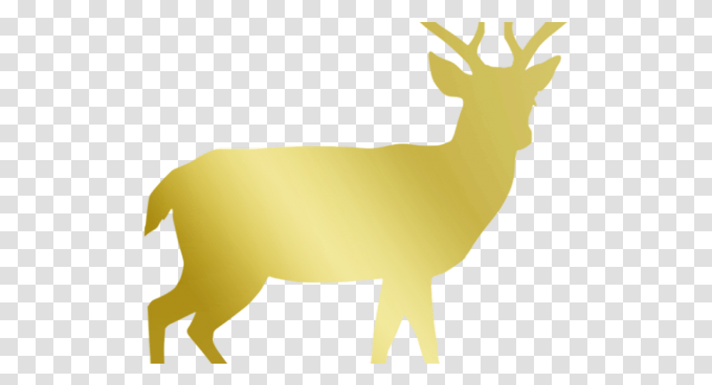 Shadow Of A Reindeer, Wildlife, Mammal, Animal, Elk Transparent Png