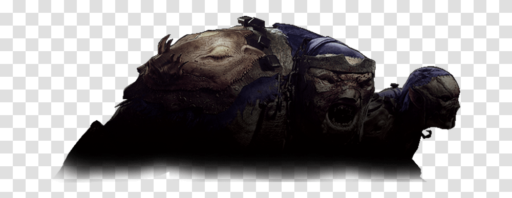 Shadow Of War Slaughter Tribe, Dragon, Turtle, Reptile, Sea Life Transparent Png