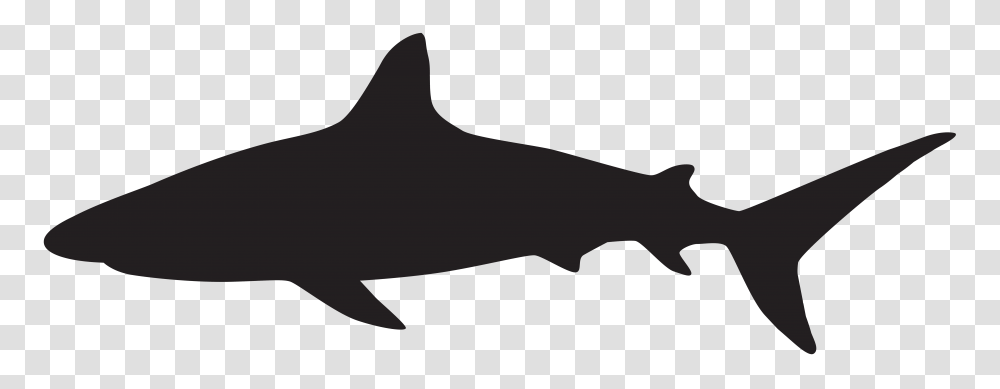 Shadows Clipart Shark, Logo, Trademark Transparent Png