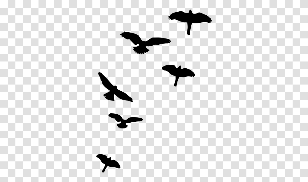 Shadows Of Birds Flying, Gray, World Of Warcraft Transparent Png