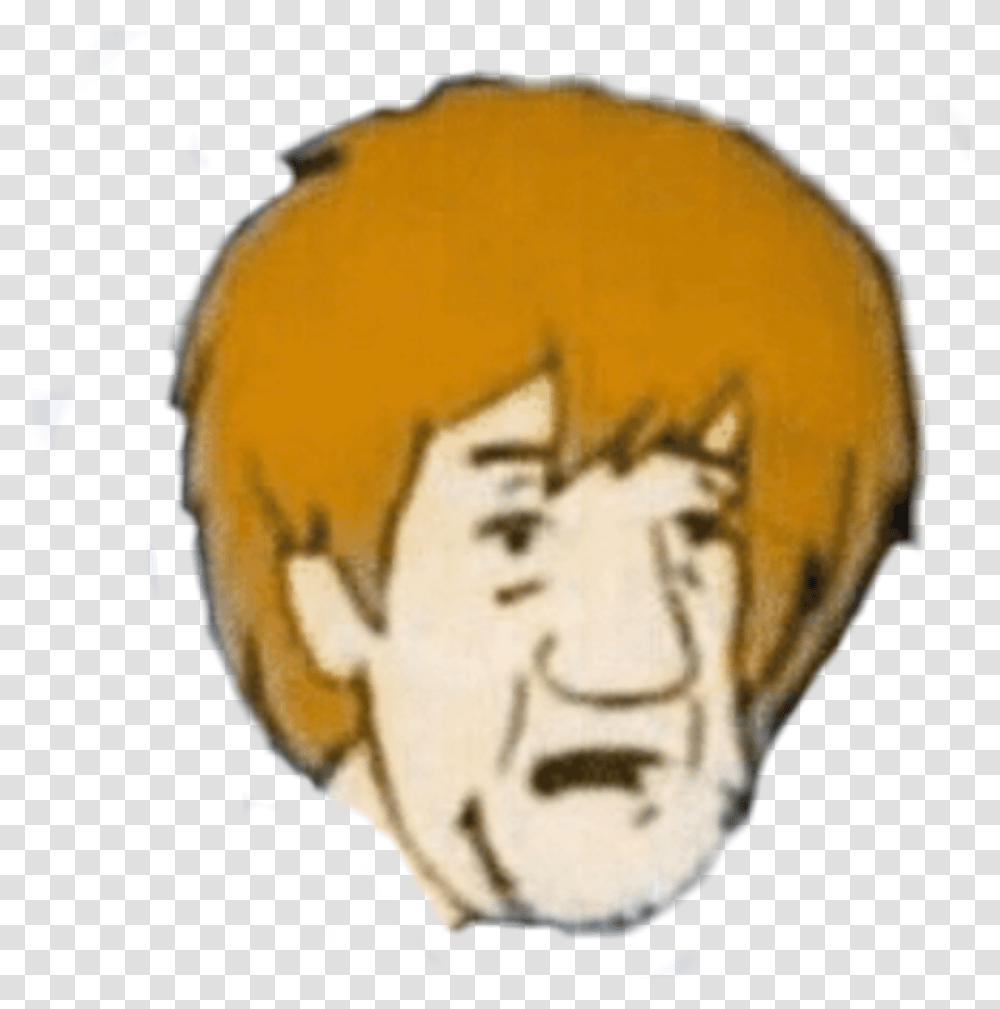 Shaggy Meme Shaggymeme 2019 Memes Shaggymemes You Reposted In The Wrong Neighborhood, Head, Face, Performer Transparent Png