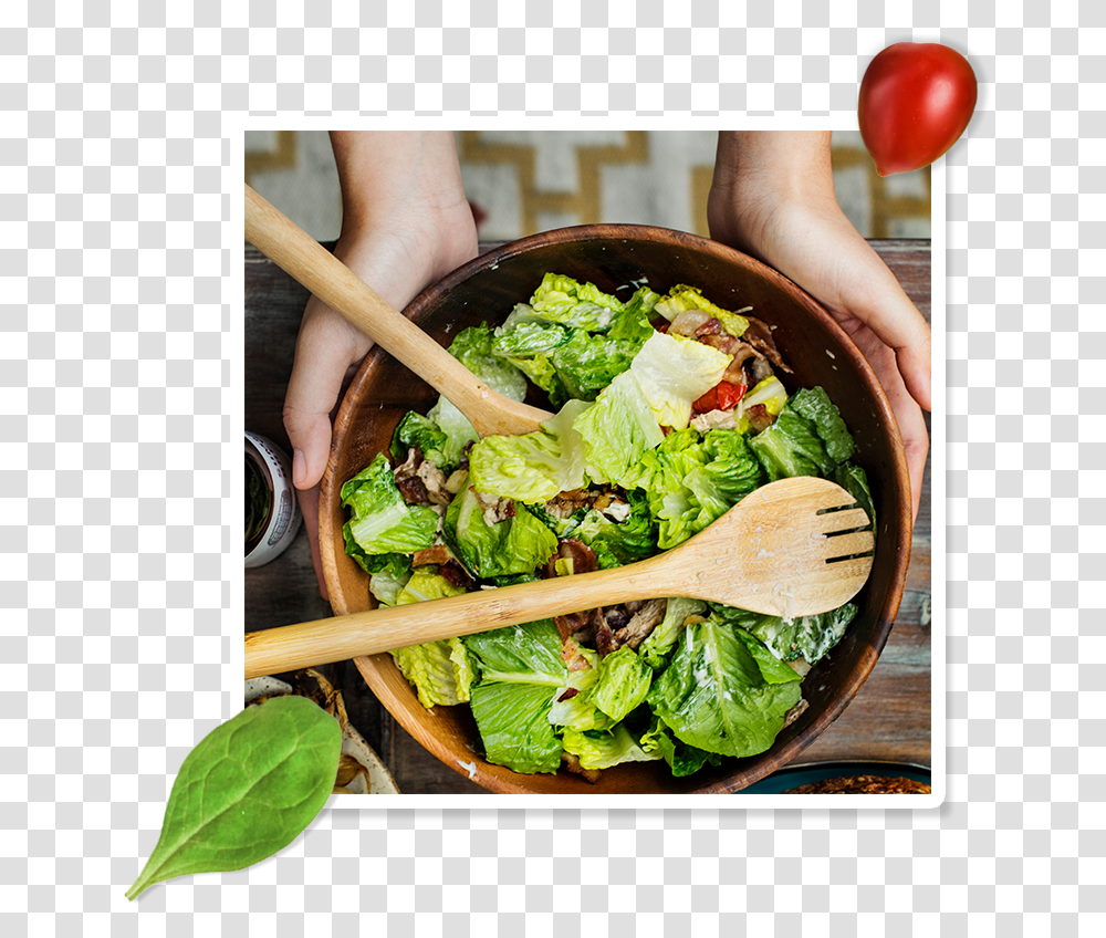 Shake Salad Food For Pregnancy And Lactation, Plant, Vegetable, Spinach, Bowl Transparent Png