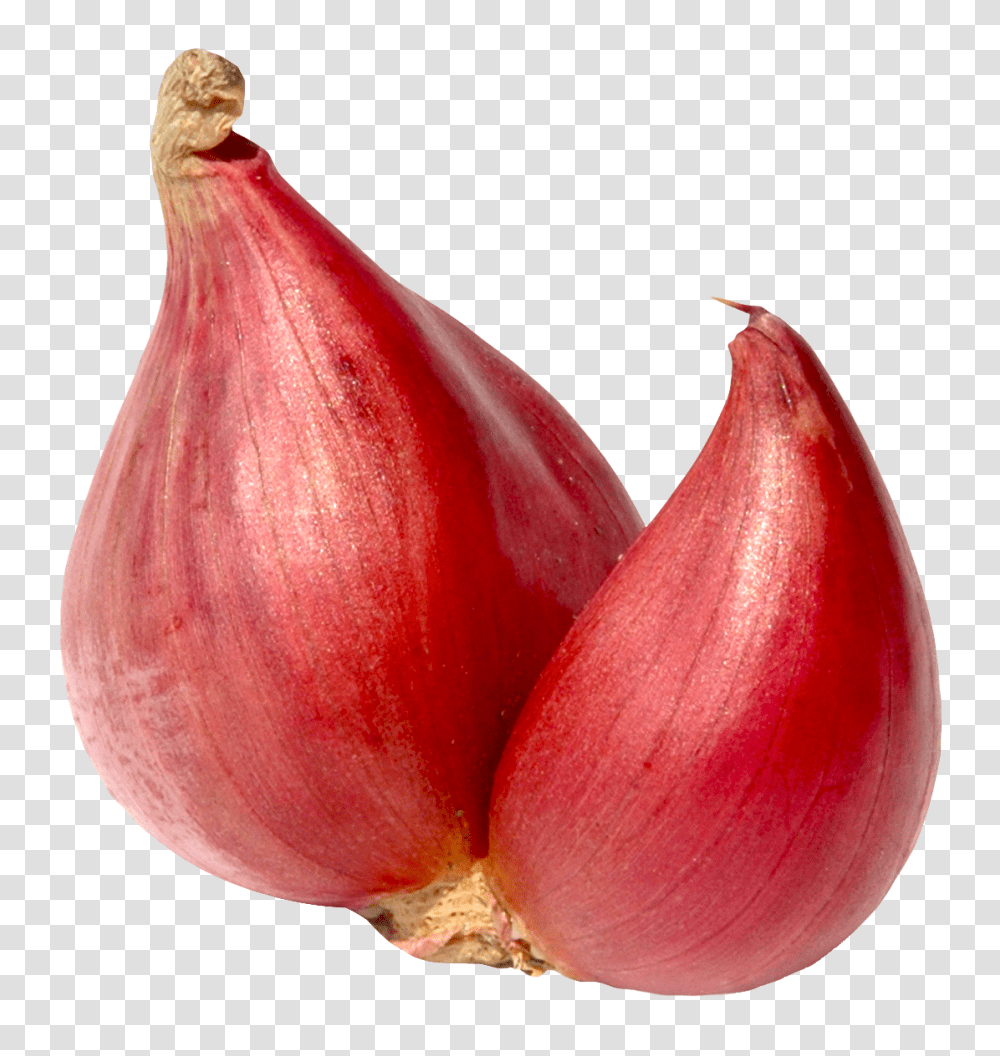 Shallot Onion Image, Vegetable, Plant, Food Transparent Png