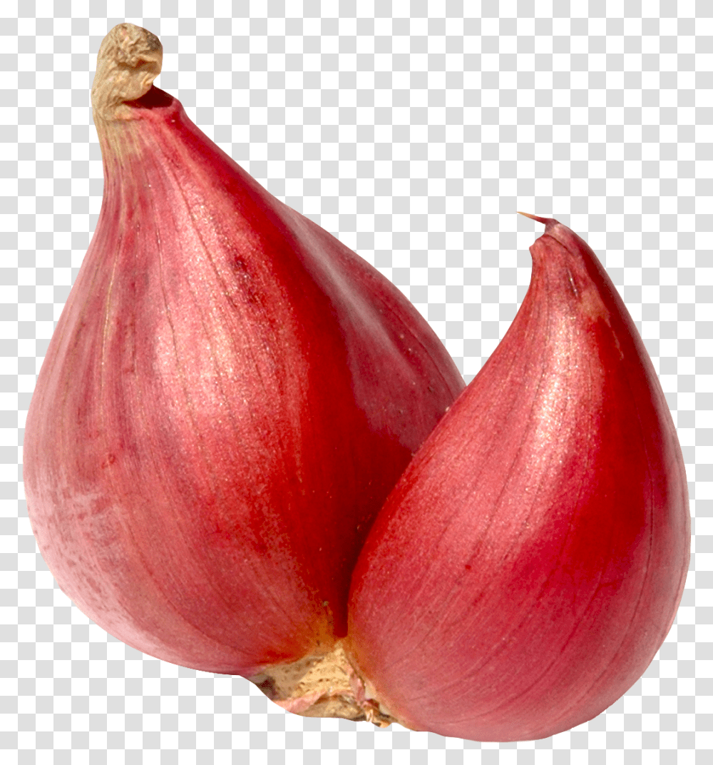 Shallot Onion, Plant, Vegetable, Food Transparent Png