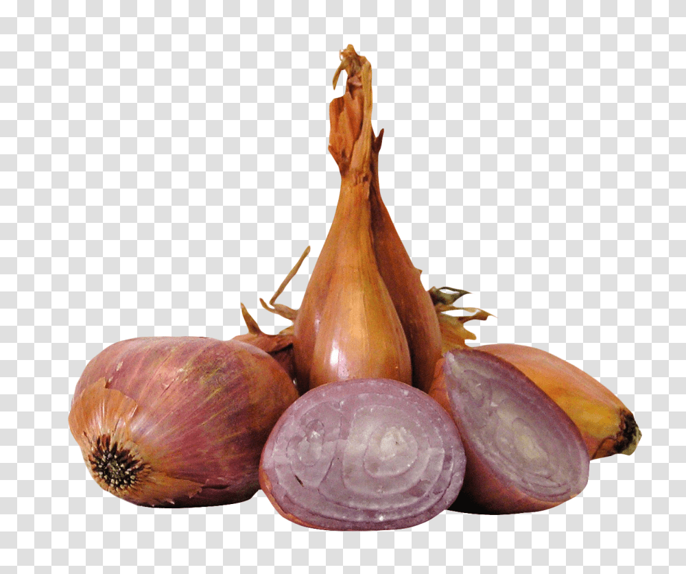Shallot Onions Image, Vegetable, Plant, Food, Lobster Transparent Png