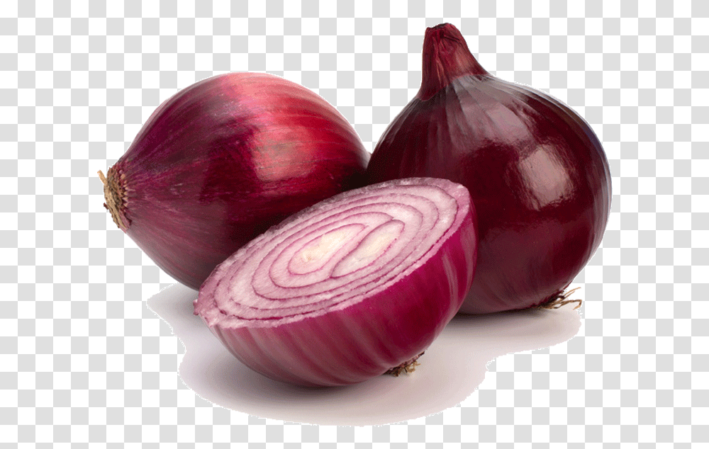 Shallot White Onion Clip Art Onion, Plant, Food, Vegetable, Rose Transparent Png