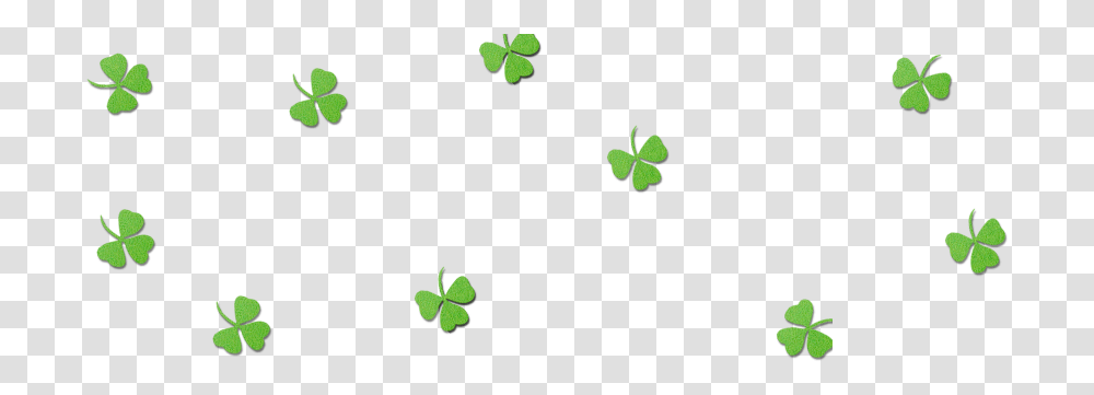 Shamrock, Green, Plant, Flower, Leaf Transparent Png