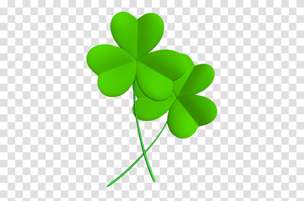 Shamrock, Green, Leaf, Plant Transparent Png