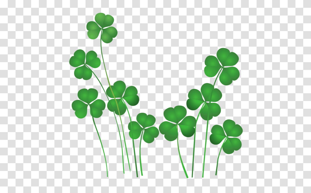 Shamrock, Green, Leaf, Plant Transparent Png