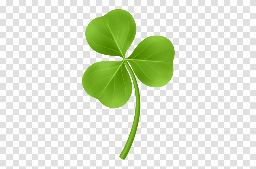 Shamrock, Leaf, Plant, Green Transparent Png