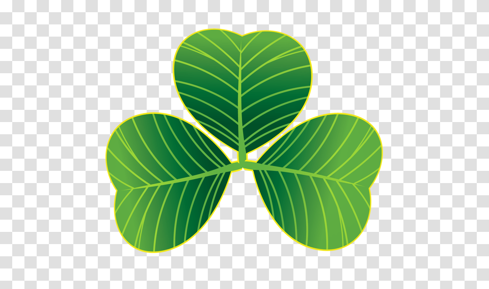 Shamrock, Leaf, Plant, Green Transparent Png
