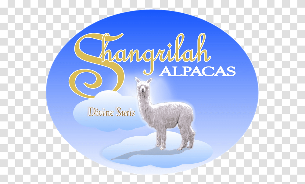 Shangrilah Alpacas Logo Llama, Mammal, Animal, Sheep, Cat Transparent Png