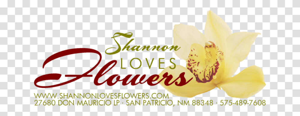Shannon Loves Flowers Yellow Flower Logo, Plant, Blossom, Orchid, Text Transparent Png