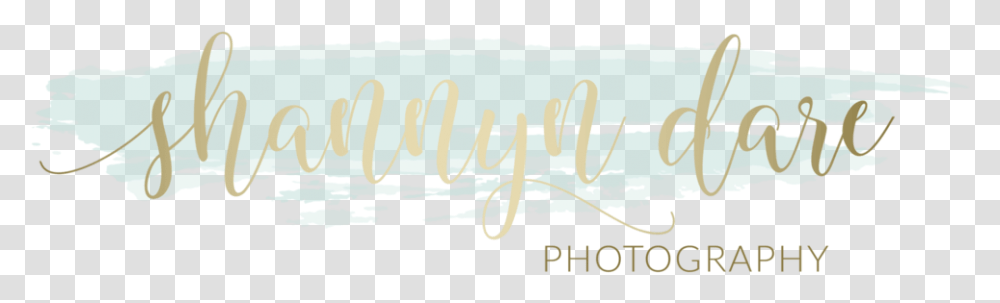 Shannyn Dare Photography Logo Calligraphy, Pillow, Cushion, Handwriting Transparent Png