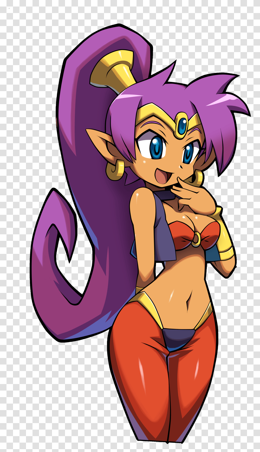Shantae Shantae Pirate's Curse Portraits, Manga, Comics, Book Transparent Png