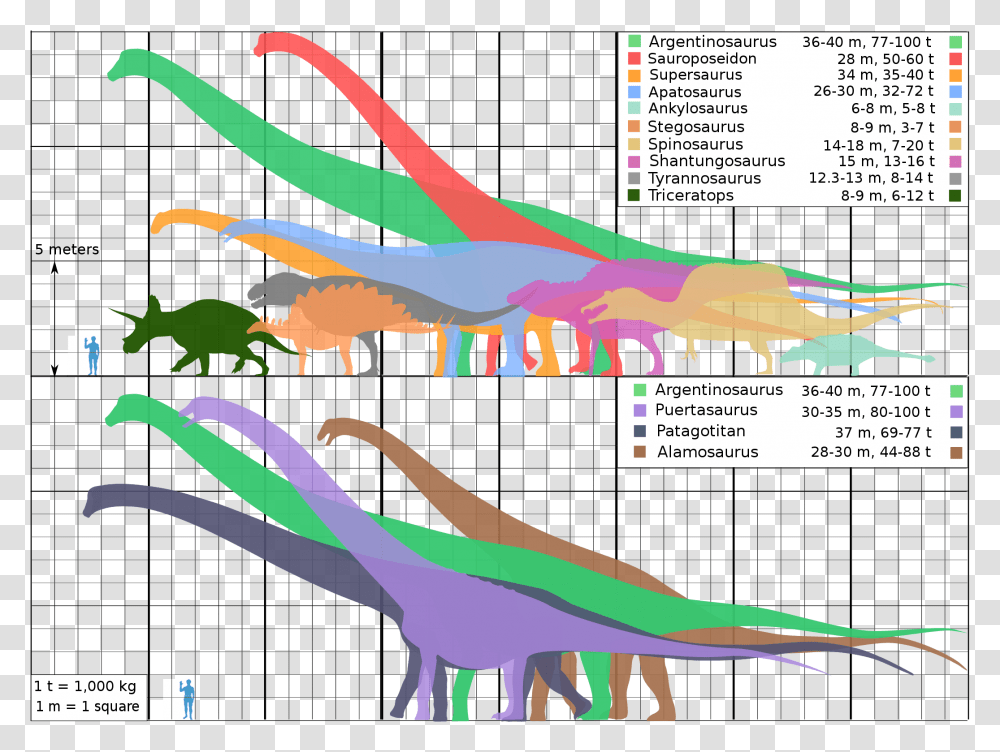 Shantungosaurus Size, Poster, Advertisement, Paper, Flyer Transparent Png