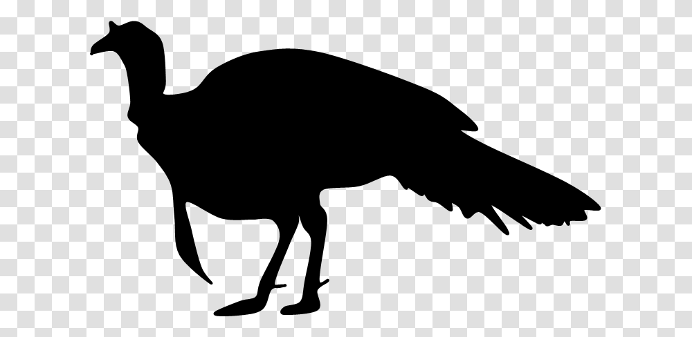 Shaow Clipart Turkey, Silhouette, Animal, Mammal, Bird Transparent Png
