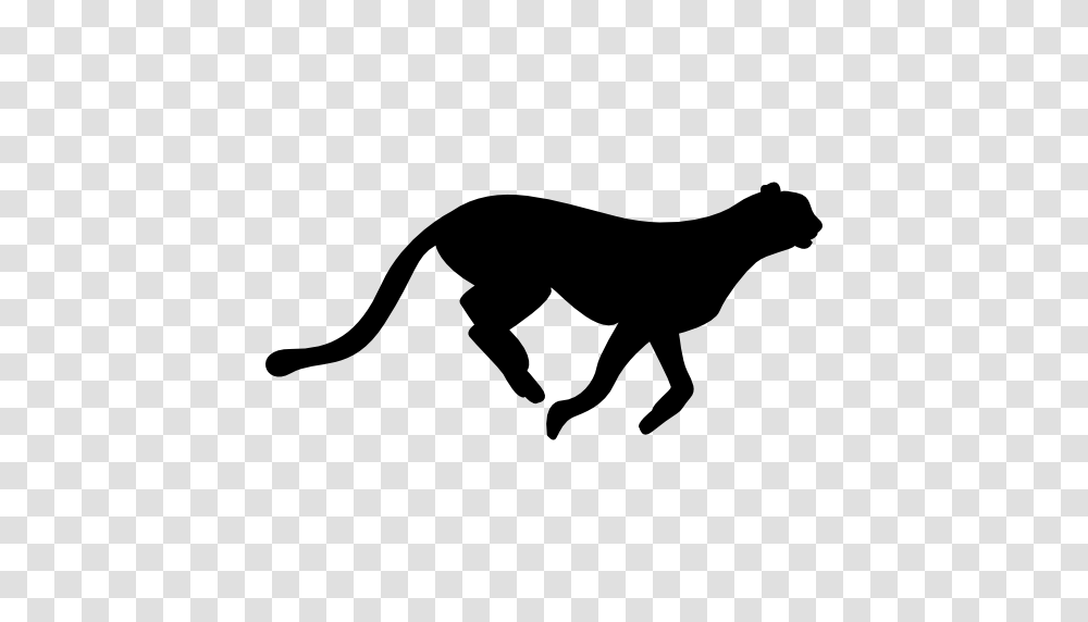 Shape Cheetah Silhouettes Animals Animal Kingdom Silhouette, Gray, World Of Warcraft Transparent Png