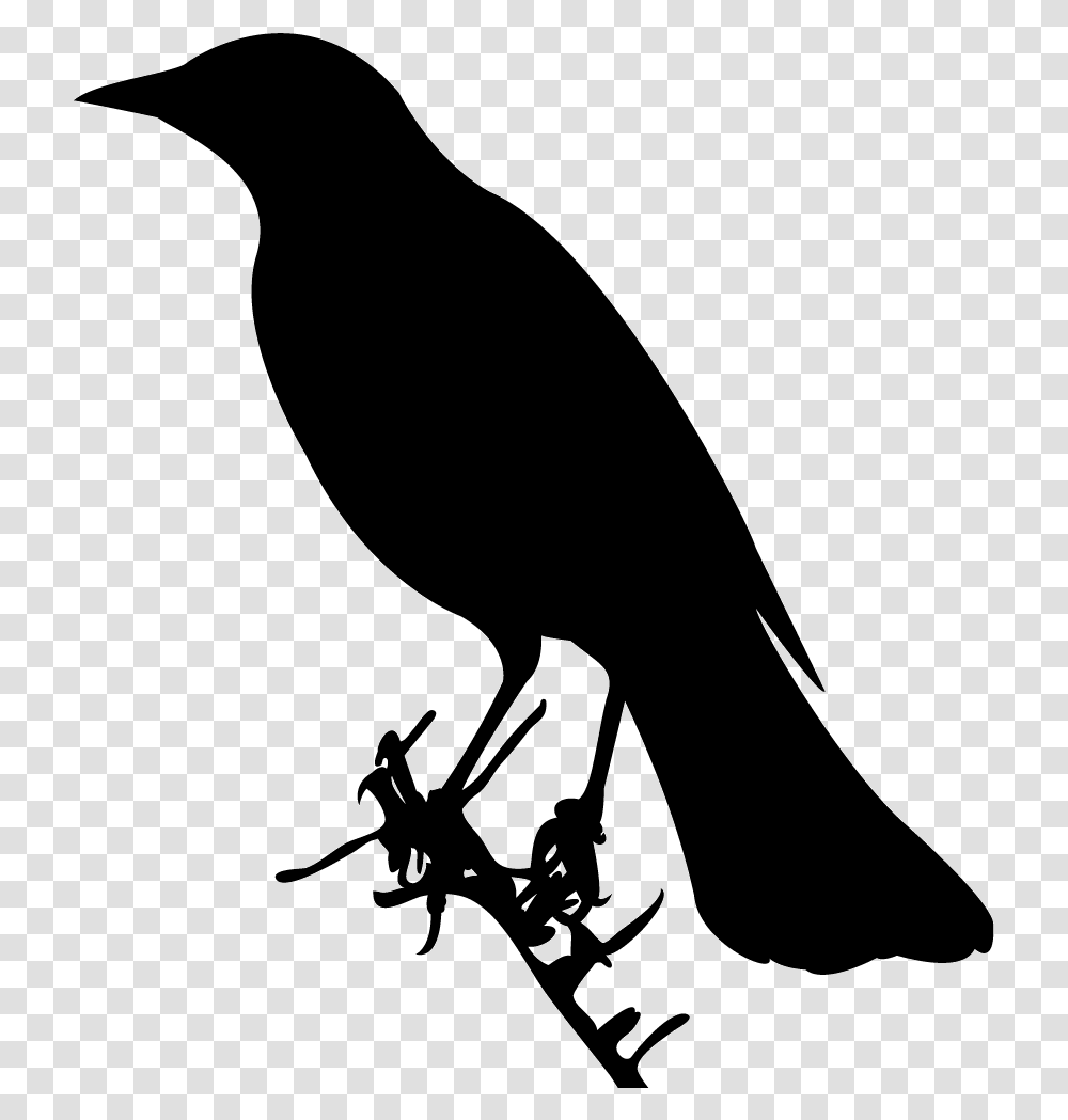 Shape Of A Bird, Bow, Silhouette, Animal, Blackbird Transparent Png