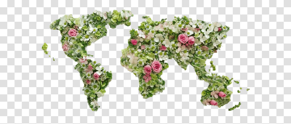 Share The Love - Elysian Design & Florals World Map Flat Dotted, Plant, Kale, Cabbage, Vegetable Transparent Png