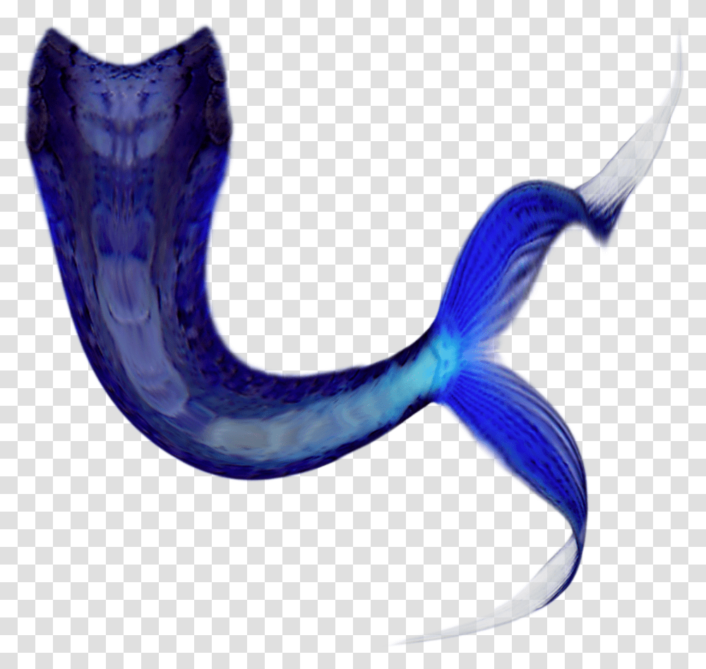Share This Article Mermaid Tail Cartoon, Animal, Fish, Purple, Bird Transparent Png