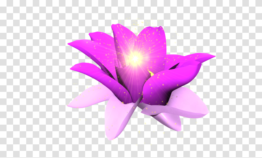 Share This Image Purple Glowing Flower, Plant, Petal, Flare, Light Transparent Png