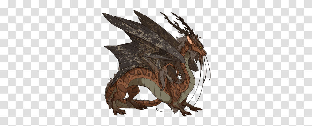 Share Your Elder Scrolls Dragons Dragon Flight Rising Dragons Ancient Magus Bride, Person, Human Transparent Png