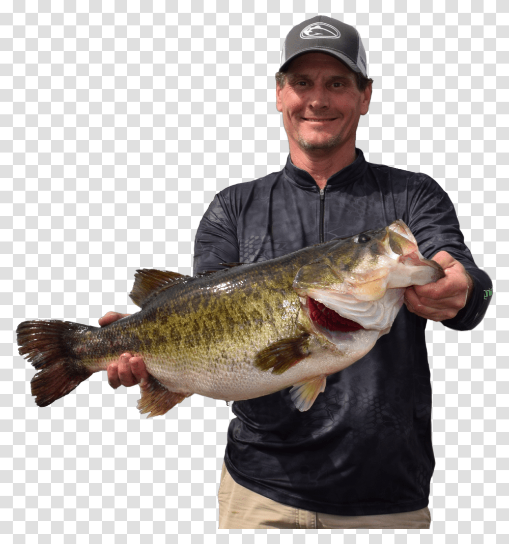 Sharelunker Bass, Fish, Animal, Person, Human Transparent Png