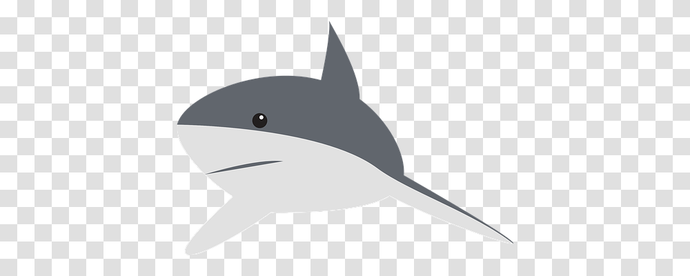 Shark Animals, Sea Life, Mammal, Fish Transparent Png