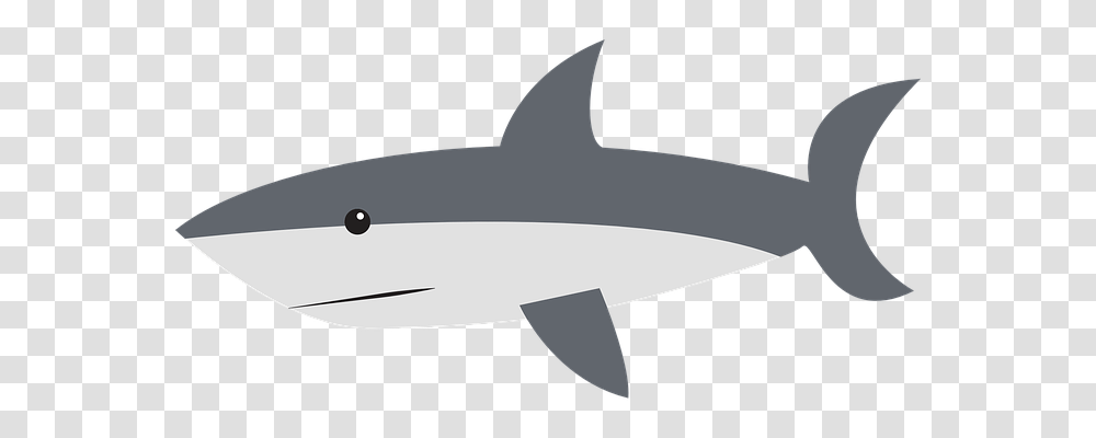 Shark Animals, Axe, Tool, Sea Life Transparent Png