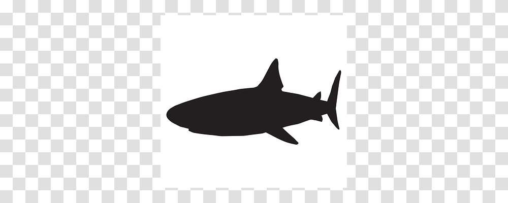 Shark Sea Life, Fish, Animal, Silhouette Transparent Png