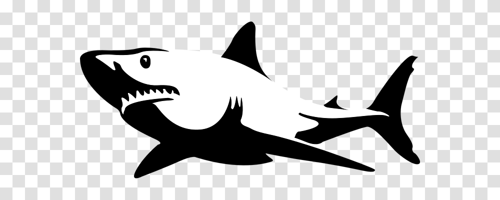 Shark Holiday, Fish, Animal, Silhouette Transparent Png