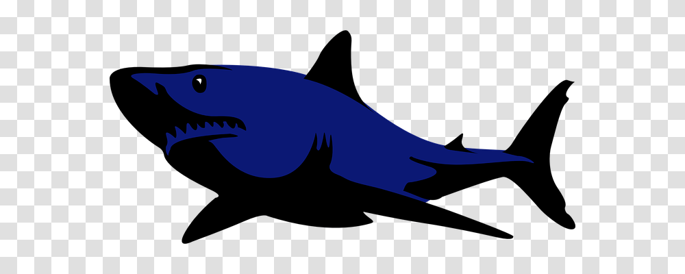 Shark Animals, Sea Life, Fish, Silhouette Transparent Png