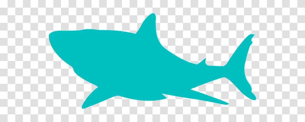 Shark Holiday, Axe, Tool, Sea Life Transparent Png