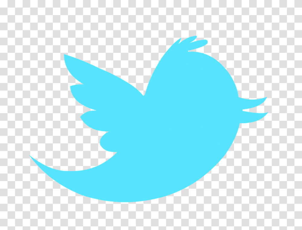 Shark, Animal, Bird, Logo Transparent Png