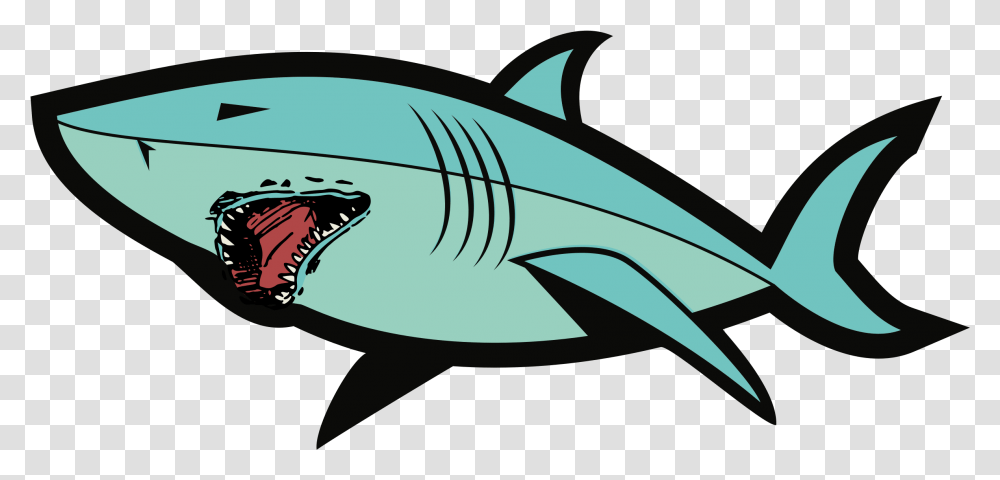 Shark, Animals, Fish, Sea Life, Tuna Transparent Png