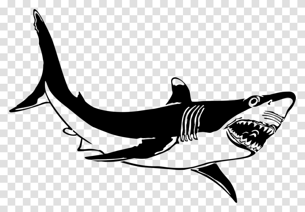 Shark, Animals, Gray, World Of Warcraft Transparent Png