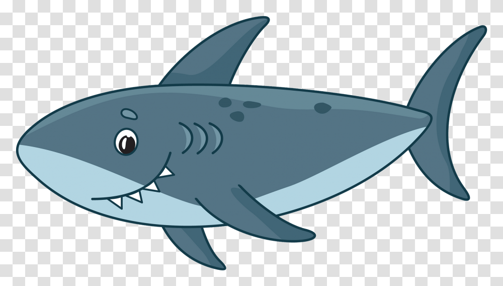 Shark, Animals, Sea Life, Fish, Mammal Transparent Png