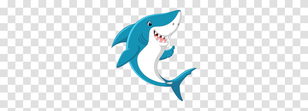 Shark Attacks, Sea Life, Animal, Fish, Mammal Transparent Png