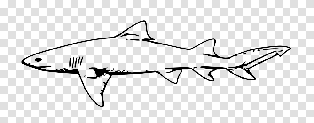Shark Black And White, Animal, Sea Life, Fish, Gun Transparent Png