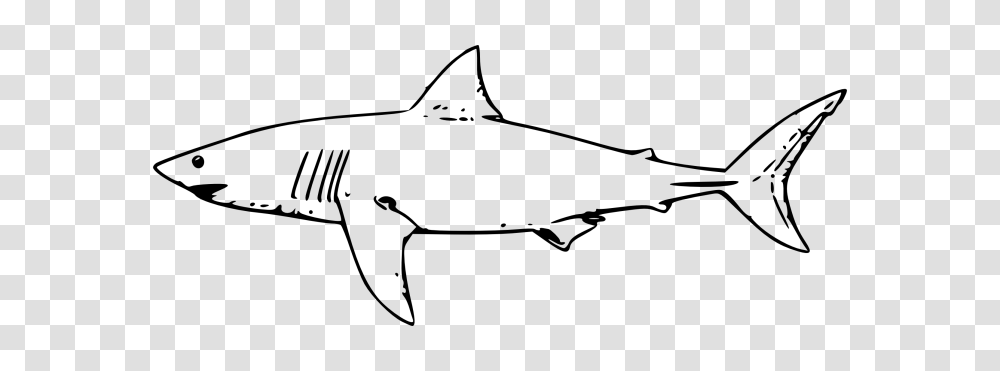 Shark Black And White Black And White Shark Pictures Free Download, Gray, World Of Warcraft Transparent Png
