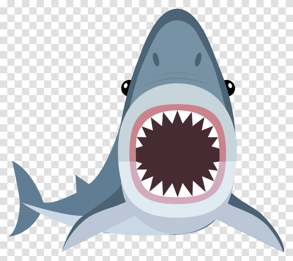 Shark Cartoon Shark, Sea Life, Fish, Animal, Great White Shark Transparent Png