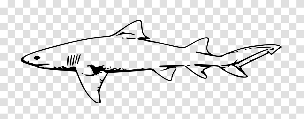 Shark Clip Art Black And White, Animal, Sea Life, Fish, Gun Transparent Png