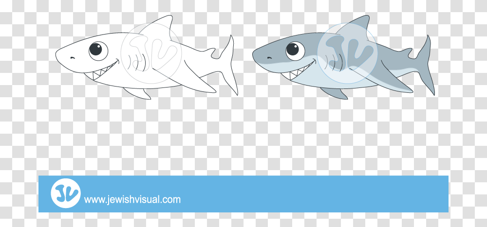 Shark Clip Art, Fish, Animal, Sea Life, Tuna Transparent Png