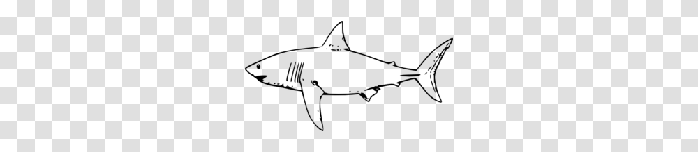 Shark Clip Art Images, Gray, World Of Warcraft Transparent Png