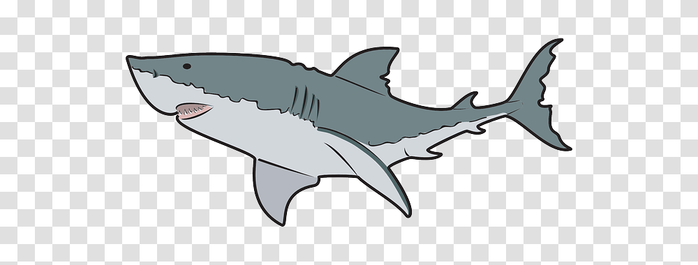 Shark Clip Art, Sea Life, Fish, Animal, Great White Shark Transparent Png