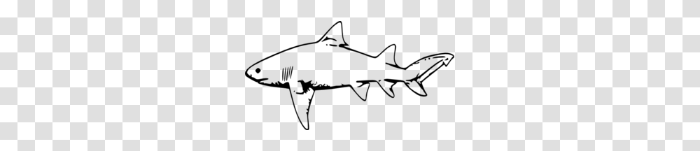 Shark Clip Arts, Gray, World Of Warcraft Transparent Png